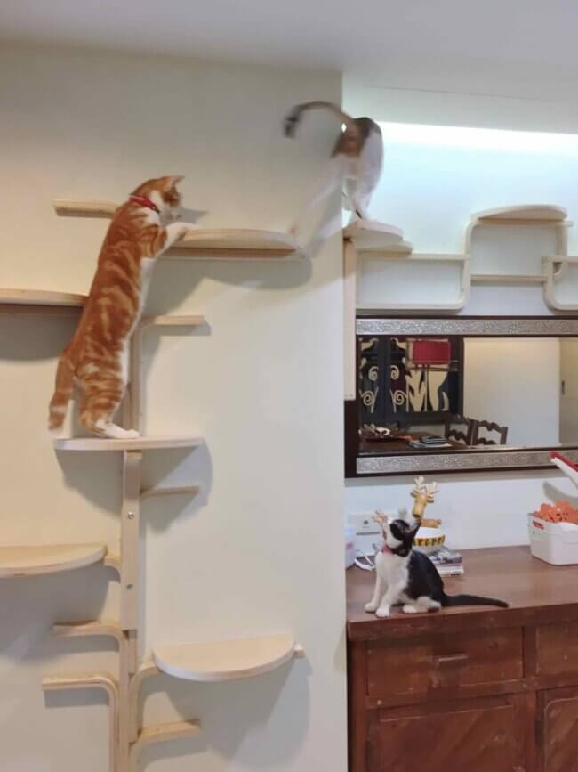 A Kitty And Her Castle 20 Diy Cat Tree Ideas For When You Re Feline Crafty Crafty Club Diy Craft Ideas