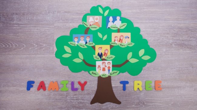 The Family Tree – Tips & Reasons To Make Your Own!